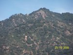 100_2776.jpg