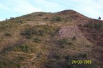 100_0077.jpg