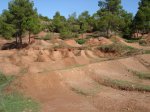 DSC03853.jpg