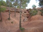 DSC03880.JPG