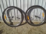 DSC00675.JPG