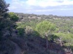 Imagen047.JPG