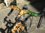 leopardo1.JPG