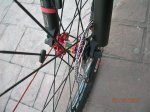 DSCN5534.jpg