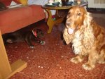 DSC08067.JPG