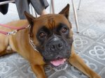 DSC007131.jpg