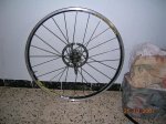 DSCN5551.jpg