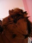 DSC00755.JPG