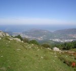 DSC01209.JPG