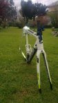 IMG-20170403-WA0003.jpg