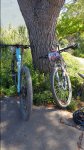 20170402_122230.jpg
