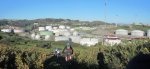 Panorama 2.JPG