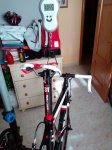 IMG_20170405_181228.jpg