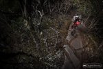EWS Tasmania p5pb14588714.jpg