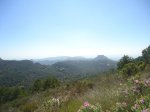 DSC01794.JPG