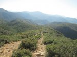 IMG_3807.JPG