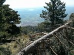 IMG_20170408_120039.jpg
