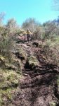 IMG-20170402-WA0001.jpg
