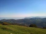 WP_20170409_11_07_00_Rich_LI.jpg