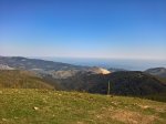 WP_20170409_11_09_39_Rich_LI.jpg