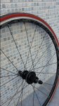20170412_170208.jpg