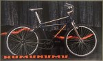 1995humuhumu-800x480.jpg