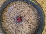 rps20170413_215453.jpg