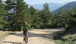 IMG_2526.jpg