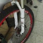 IMG_20170219_070128.jpg