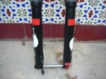 DSCN7542.JPG