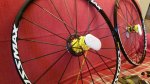 IMG-20170417-WA0005.jpg