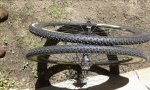 20170318_124123.jpg