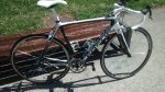 Focus Izalco Pro 16.jpg