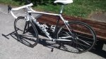 Focus Izalco Pro 19.jpg