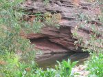 IMG_3985.JPG