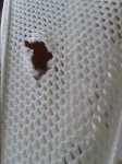 IMG_20170420_082048.jpg