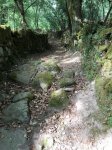 IMG-20170419-WA0014.jpg