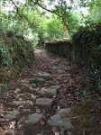 IMG-20170419-WA0015.jpg