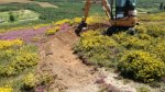 IMG-20170422-WA0049.jpeg