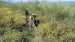 IMG-20170422-WA0005.jpg