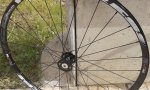 20170420_165430.jpg