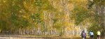 Panor5923-5824.jpg