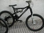 Freerom Rallon.jpg