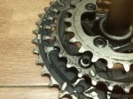 IMG_20170430_225603.jpg