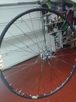 20161205_171819(1).jpg