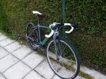 IMG-20170501-WA0007.jpg