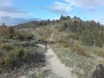 IMG-20170502-WA0010.jpg