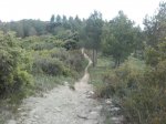 IMG-20170502-WA0008.jpg