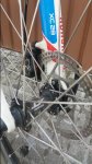20170504_161103.jpg