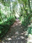20150516_171555.jpg